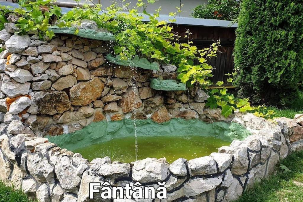 Ciprians' Home Săcele Exteriér fotografie